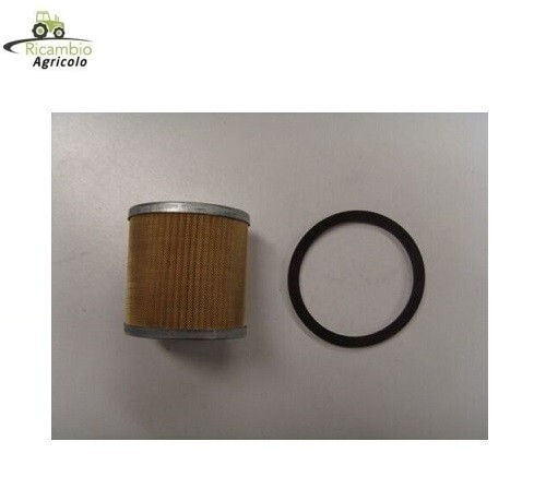 Filtro nafta gasolio motore